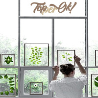 Квадрат із акрилу 40 см Квадрат із акрилу 40 см